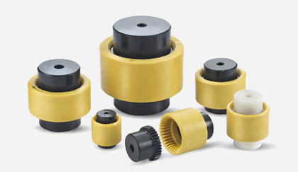 Ashish Engineering Services - Flexible Drive Coupling 55